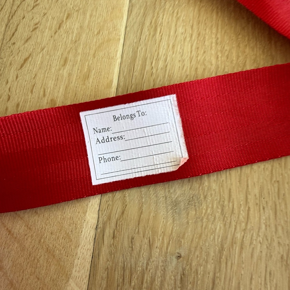 Kids Flysafe Harness for Air Travel - Picture 3 of 5